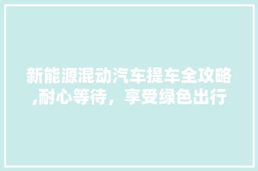 新能源混动汽车提车全攻略,耐心等待，享受绿色出行  第1张