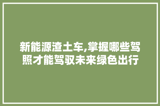 新能源渣土车,掌握哪些驾照才能驾驭未来绿色出行  第1张