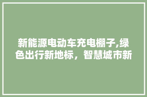 新能源电动车充电棚子,绿色出行新地标，智慧城市新篇章