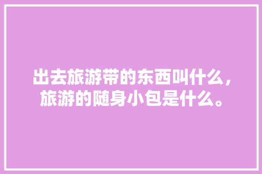 出去旅游带的东西叫什么，旅游的随身小包是什么。