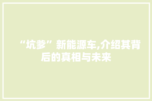 “坑爹”新能源车,介绍其背后的真相与未来  第1张