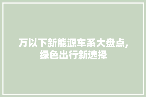 万以下新能源车系大盘点,绿色出行新选择  第1张