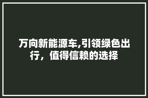 万向新能源车,引领绿色出行，值得信赖的选择  第1张