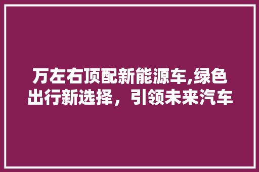 万左右顶配新能源车,绿色出行新选择，引领未来汽车潮流  第1张