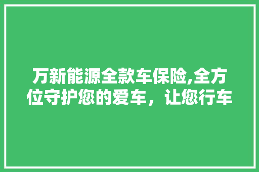 万新能源全款车保险,全方位守护您的爱车，让您行车无忧  第1张