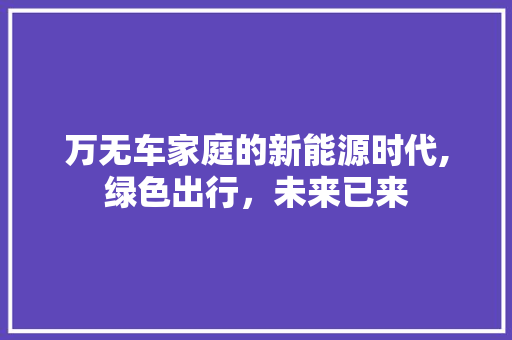 万无车家庭的新能源时代,绿色出行，未来已来  第1张