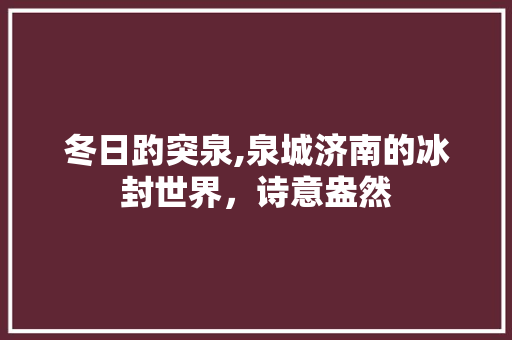 冬日趵突泉,泉城济南的冰封世界，诗意盎然