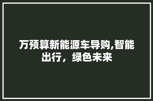 万预算新能源车导购,智能出行，绿色未来  第1张