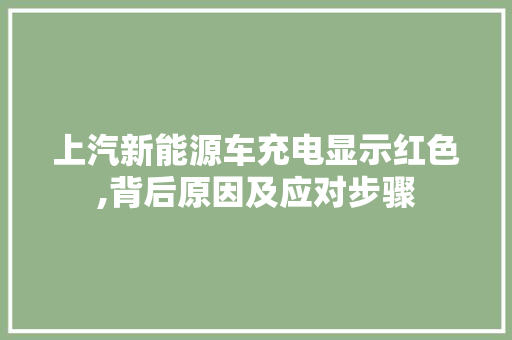 上汽新能源车充电显示红色,背后原因及应对步骤  第1张