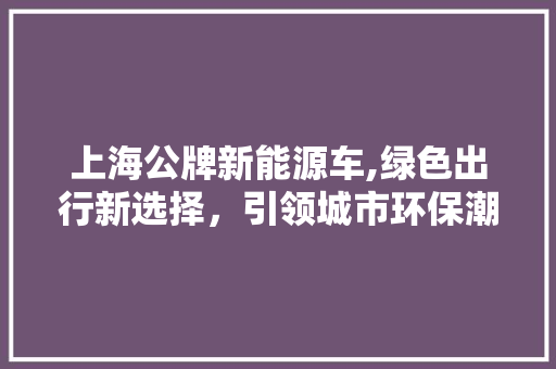 上海公牌新能源车,绿色出行新选择，引领城市环保潮流  第1张