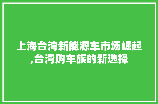 上海台湾新能源车市场崛起,台湾购车族的新选择  第1张