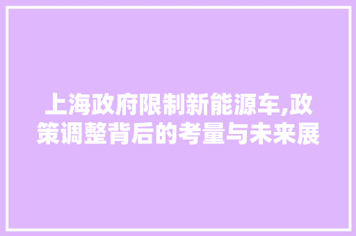 上海政府限制新能源车,政策调整背后的考量与未来展望  第1张