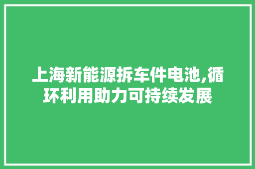 上海新能源拆车件电池,循环利用助力可持续发展