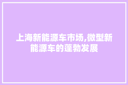 上海新能源车市场,微型新能源车的蓬勃发展  第1张