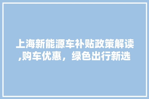 上海新能源车补贴政策解读,购车优惠，绿色出行新选择  第1张