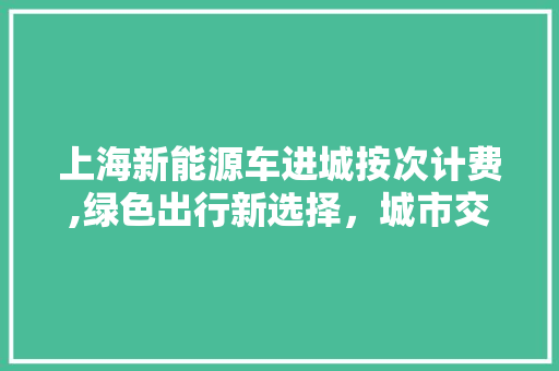 上海新能源车进城按次计费,绿色出行新选择，城市交通新篇章