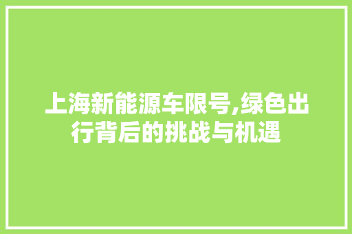 上海新能源车限号,绿色出行背后的挑战与机遇