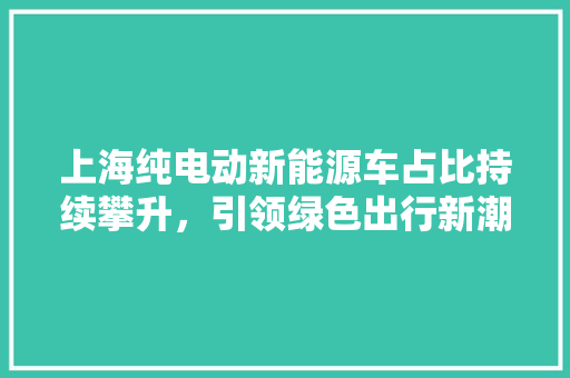 上海纯电动新能源车占比持续攀升，引领绿色出行新潮流