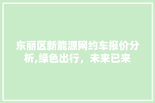 东丽区新能源网约车报价分析,绿色出行，未来已来  第1张