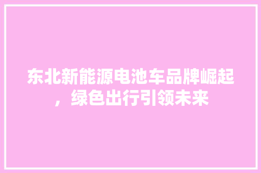 东北新能源电池车品牌崛起，绿色出行引领未来  第1张