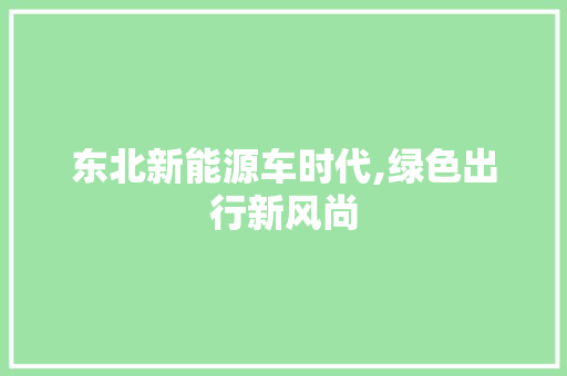 东北新能源车时代,绿色出行新风尚