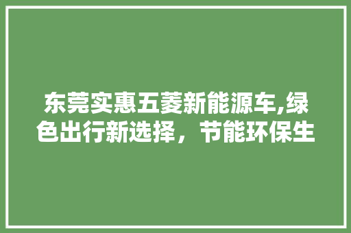 东莞实惠五菱新能源车,绿色出行新选择，节能环保生活新篇章