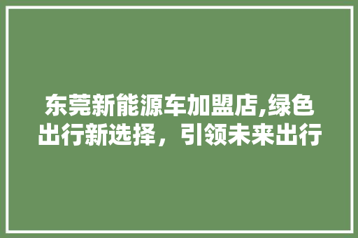 东莞新能源车加盟店,绿色出行新选择，引领未来出行潮流  第1张