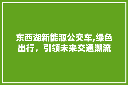 东西湖新能源公交车,绿色出行，引领未来交通潮流  第1张