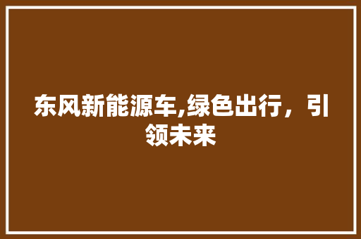 东风新能源车,绿色出行，引领未来  第1张