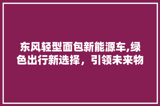 东风轻型面包新能源车,绿色出行新选择，引领未来物流潮流  第1张