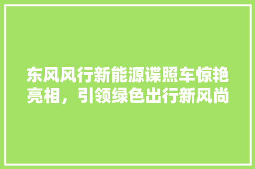 东风风行新能源谍照车惊艳亮相，引领绿色出行新风尚  第1张