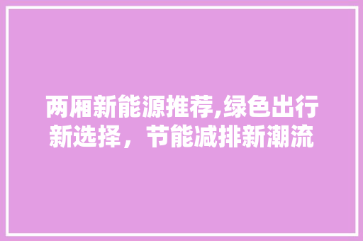 两厢新能源推荐,绿色出行新选择，节能减排新潮流