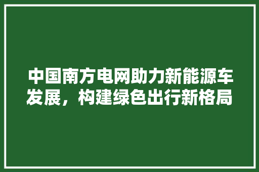 中国南方电网助力新能源车发展，构建绿色出行新格局