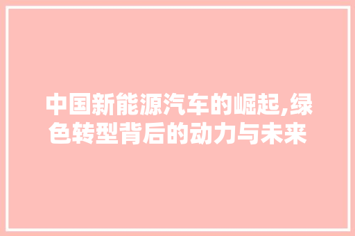 中国新能源汽车的崛起,绿色转型背后的动力与未来  第1张