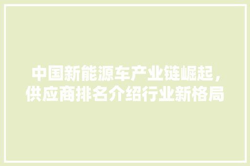 中国新能源车产业链崛起，供应商排名介绍行业新格局  第1张