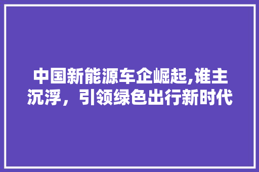 中国新能源车企崛起,谁主沉浮，引领绿色出行新时代  第1张