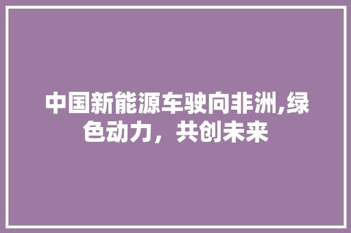 中国新能源车驶向非洲,绿色动力，共创未来