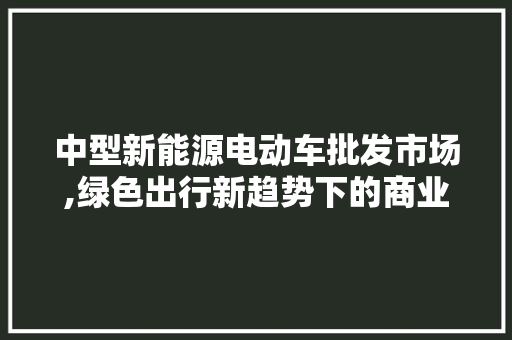 中型新能源电动车批发市场,绿色出行新趋势下的商业机遇