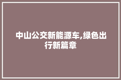 中山公交新能源车,绿色出行新篇章  第1张