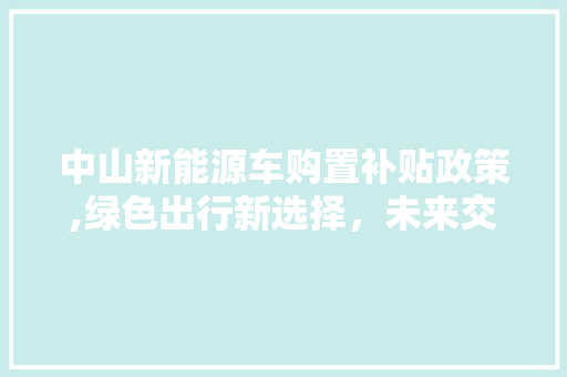 中山新能源车购置补贴政策,绿色出行新选择，未来交通新引擎  第1张