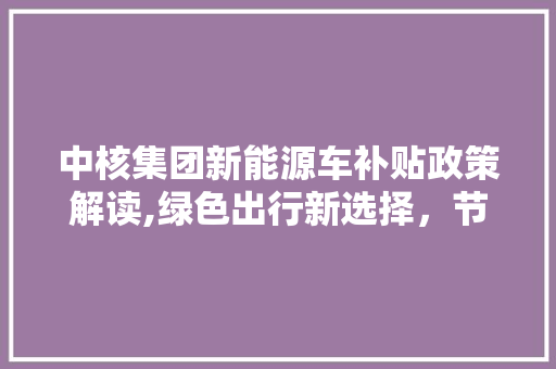 中核集团新能源车补贴政策解读,绿色出行新选择，节能环保再升级