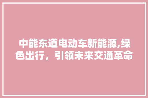 中能东道电动车新能源,绿色出行，引领未来交通革命