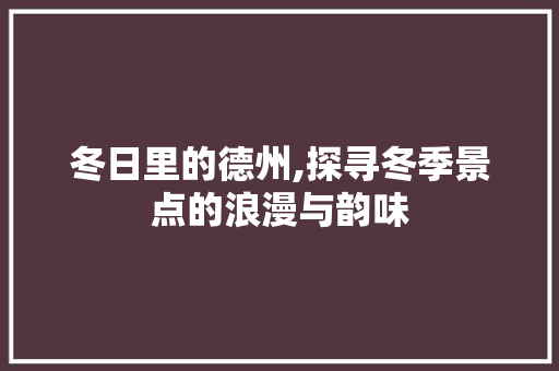 冬日里的德州,探寻冬季景点的浪漫与韵味  第1张