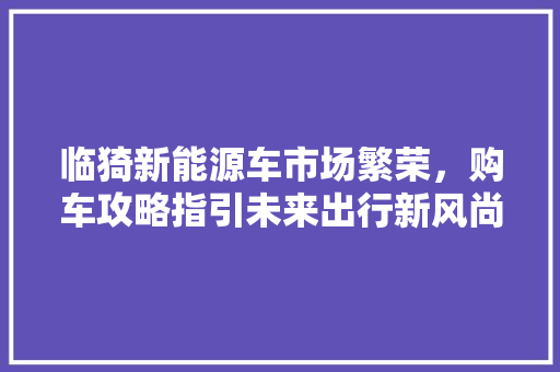 临猗新能源车市场繁荣，购车攻略指引未来出行新风尚