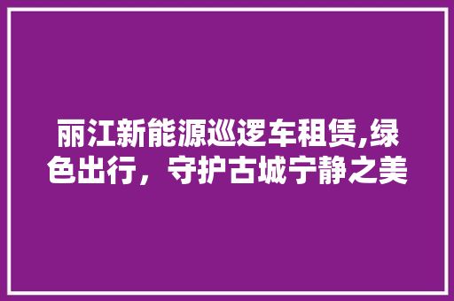 丽江新能源巡逻车租赁,绿色出行，守护古城宁静之美