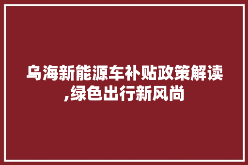 乌海新能源车补贴政策解读,绿色出行新风尚  第1张