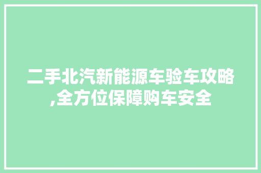 二手北汽新能源车验车攻略,全方位保障购车安全