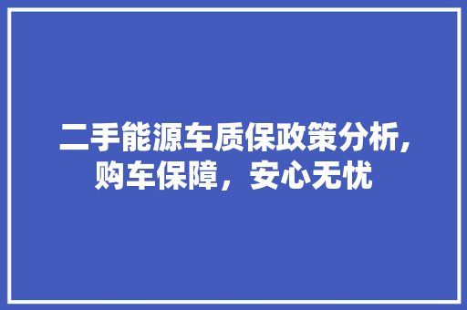 二手能源车质保政策分析,购车保障，安心无忧  第1张