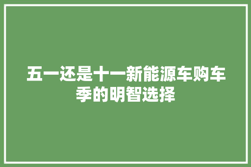 五一还是十一新能源车购车季的明智选择  第1张