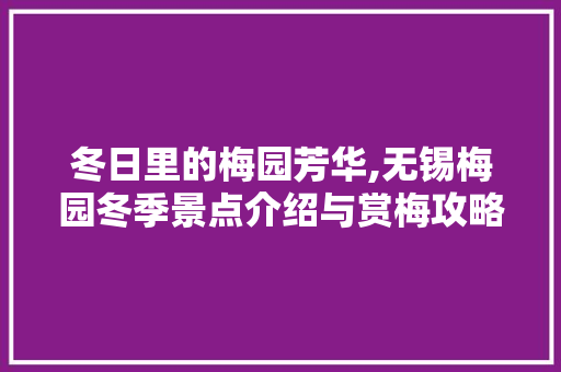 冬日里的梅园芳华,无锡梅园冬季景点介绍与赏梅攻略